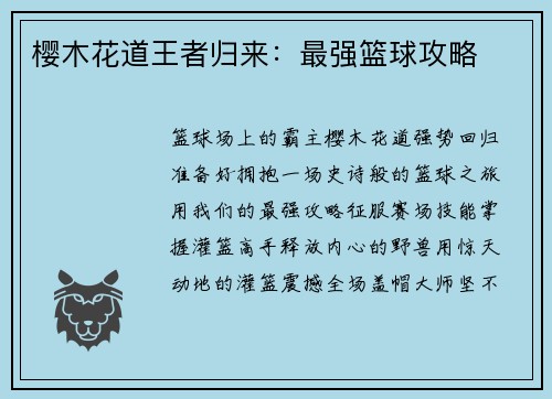 樱木花道王者归来：最强篮球攻略