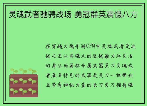 灵魂武者驰骋战场 勇冠群英震慑八方