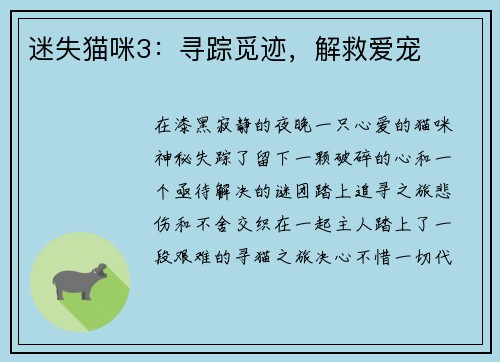 迷失猫咪3：寻踪觅迹，解救爱宠